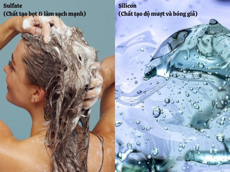 dau goi khong sulfate khong silicon cho toc nhuom