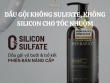Gợi ý 6 dầu gội không Sulfate, không Silicon cho tóc nhuộm bền màu